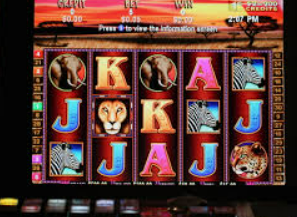 沙巴官网入口网站最新版